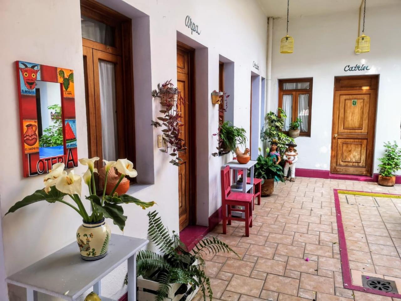 El Diablo Y La Sandia B&B Oaxaca ภายนอก รูปภาพ